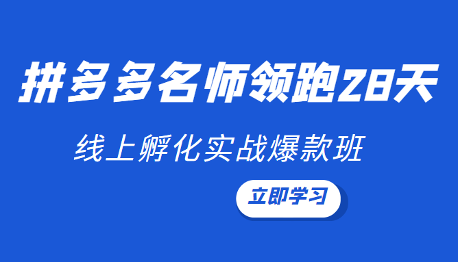 领跑2022拼多多名师线上领跑28天：线上孵化实战爆款班（第9期）插图