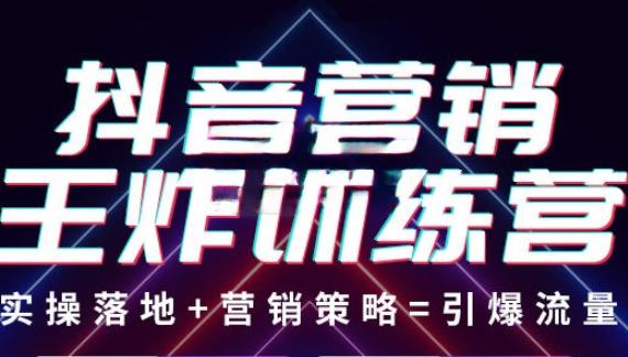 抖音营销王炸训练营：实操落地+营销策略=引爆流量（价值8960元）插图