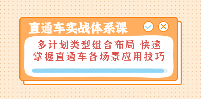 直通车实战体系课：多计划类型组合布局，快速掌握直通车各场景应用技巧插图