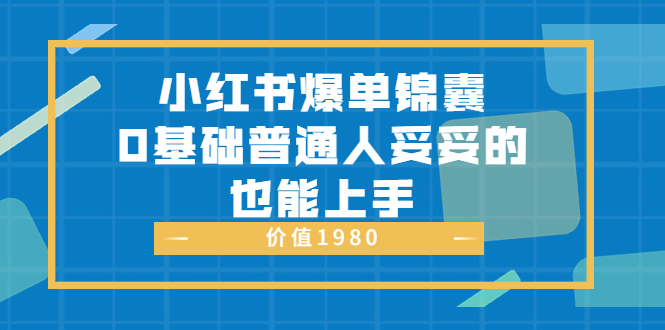 小红书爆单锦囊：0基础普通人妥妥的也能上手（价值1980）插图