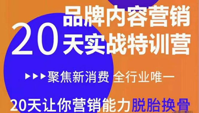 内容营销实操特训营：20天让你营销能力脱胎换骨（价值3999）插图