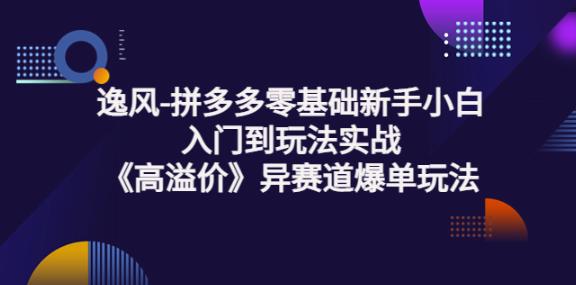 拼多多零基础新手小白入门到玩法实战《高溢价》异赛道爆单玩法实操课插图