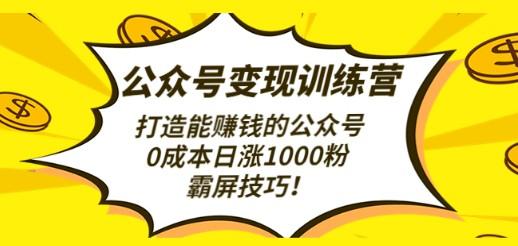 公众号变现训练营（第3期）打造能赚钱的公众号，0成本日涨1000粉，霸屏技巧-第1张图片-小彬网