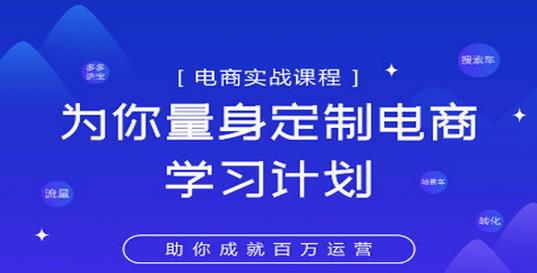 图片[1]-淘宝运营实战宝典鑫老板电商精品小课，为你量身定制电商学习计划-阿灿说钱