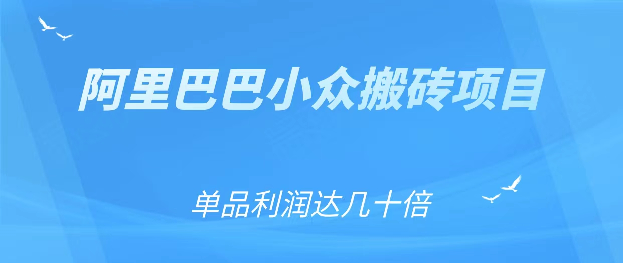 阿里巴巴小众搬砖项目，单品利润达几十倍插图