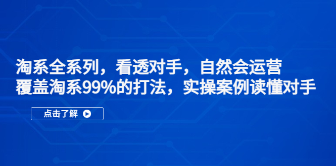 淘系全系列，看透对手，自然会运营，覆盖淘系99%·打法，实操案例读懂对手