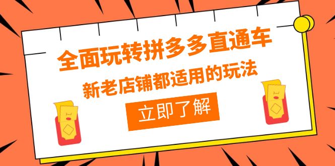 图片[1]-全面玩转拼多多直通车，新老店铺都适用的玩法（12节精华课）-阿灿说钱