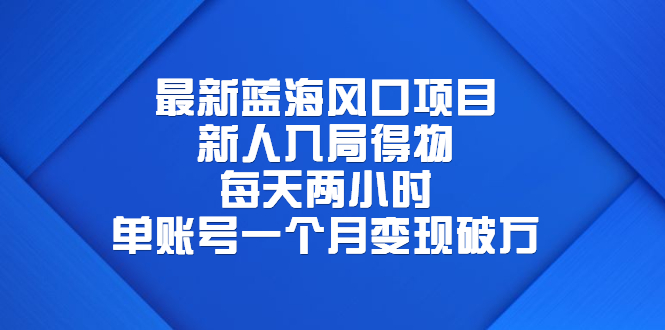 图片[1]-最新蓝海风口项目，新人入局得物，每天两小时，单账号一个月变现破万-阿灿说钱