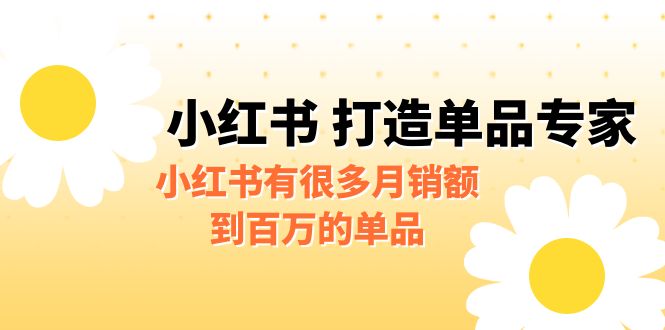 图片[1]-某公众号付费文章《小红书 打造单品专家》小红书有很多月销额到百万的单品-阿灿说钱