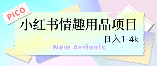 图片[1]-最新小红书情趣用品项目，日入1-4k-阿灿说钱