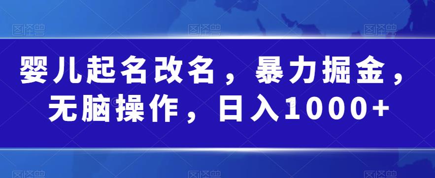 婴儿起名改名，暴力掘金，无脑操作，日入1000 【揭秘】