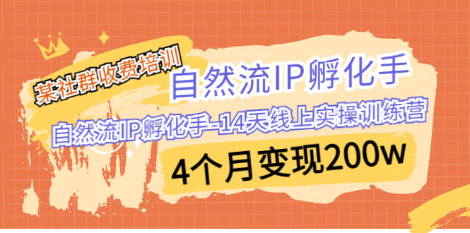 图片[1]-某社群收费培训：自然流IP 孵化手-14天线上实操训练营 4个月变现200w-阿灿说钱