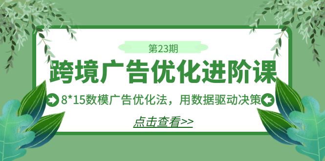 图片[1]-跨境广告·优化进阶课·第23期，8*15数模广告优化法，用数据驱动决策-阿灿说钱