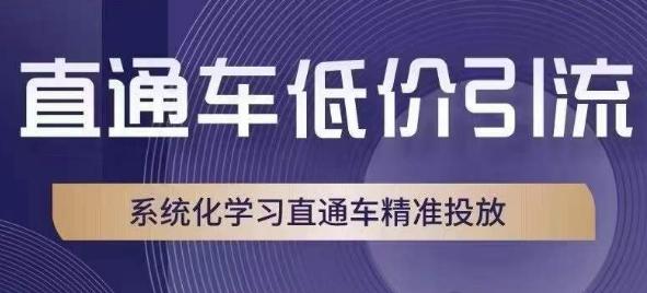 图片[1]-直通车低价引流教程，系统化学习直通车精准投放-阿灿说钱