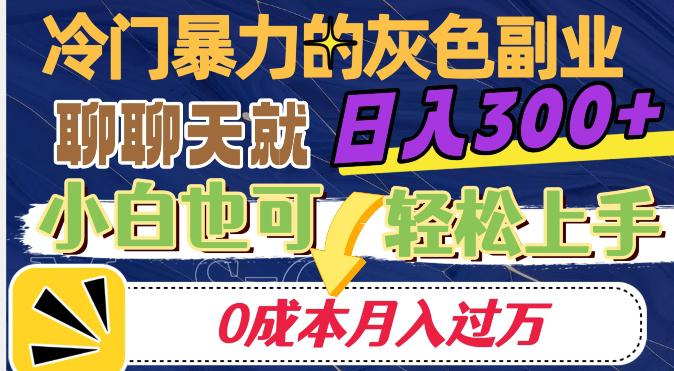 图片[1]-冷门暴利的副业项目，聊聊天就能日入300+，0成本月入过万【揭秘】-阿灿说钱