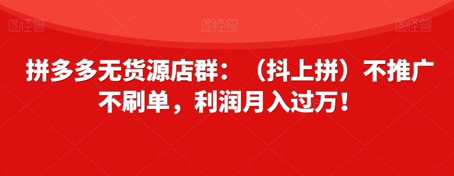 拼多多无货源店群：（抖上拼）不推广不刷单，利润月入过万插图