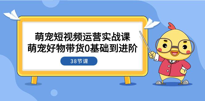 图片[1]-萌宠短视频攻略：从0基础到进阶，带你探索带货奥秘（38节课）-阿灿说钱