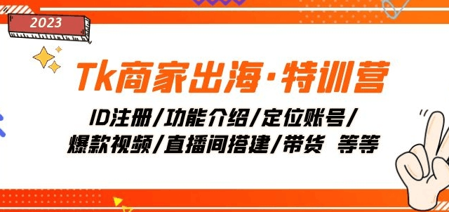 图片[1]-TK商家出海·特训营：ID注册/功能介绍/定位账号/爆款视频/直播间搭建/带货-阿灿说钱