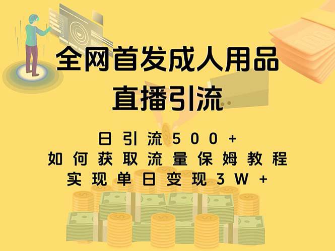 图片[1]-最新全网独创首发，成人用品直播引流获客暴力玩法，单日变现3w保姆级教程-阿灿说钱